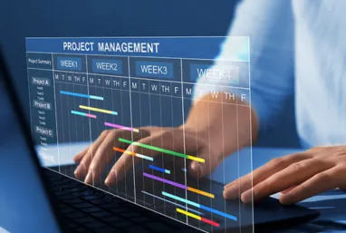 Professional Project Management
